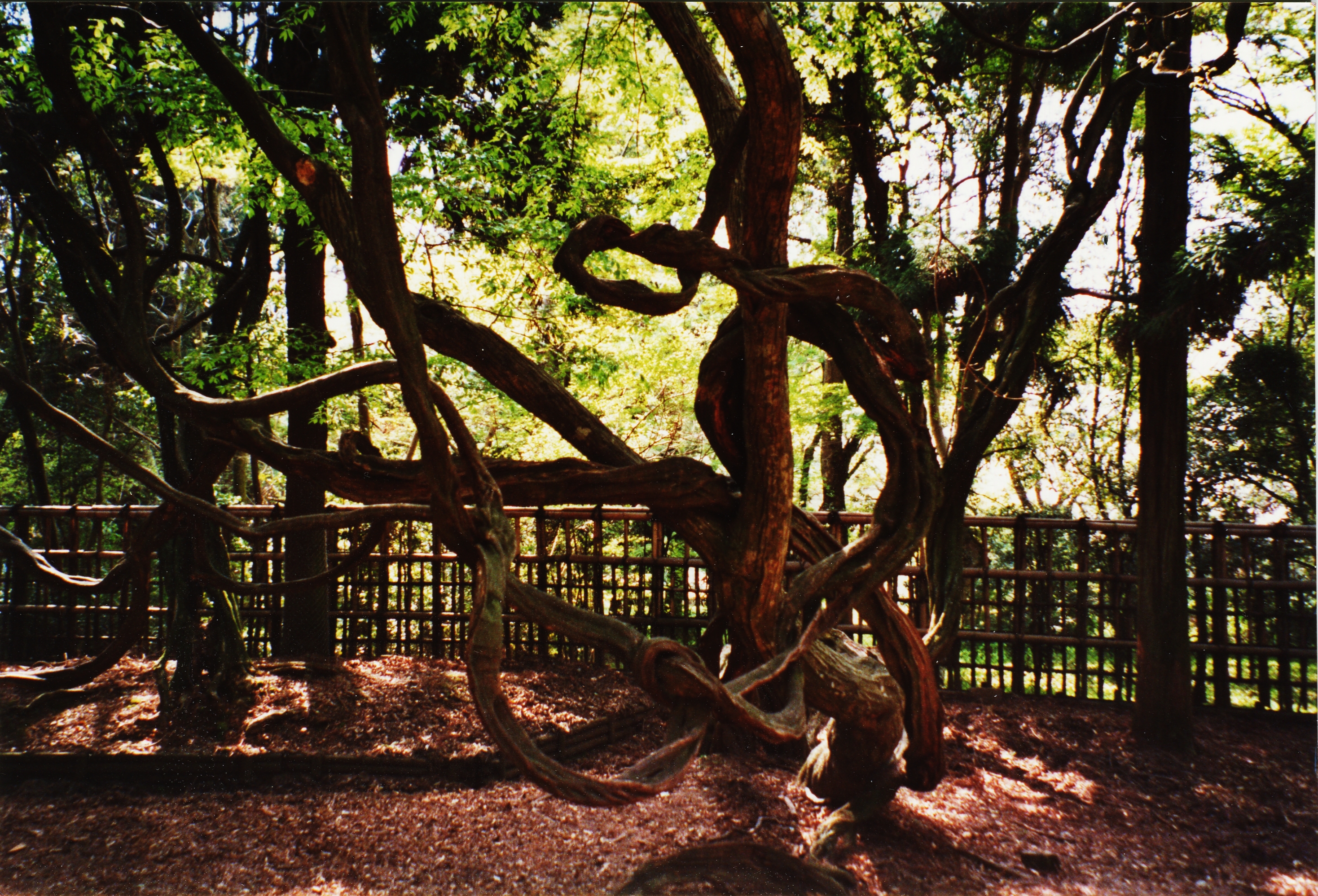 Japan, 2001