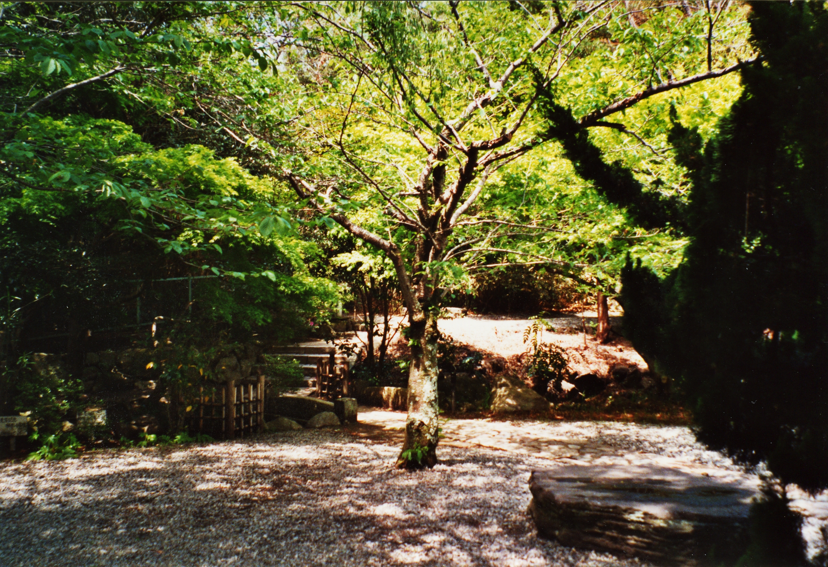 Japan, 2001
