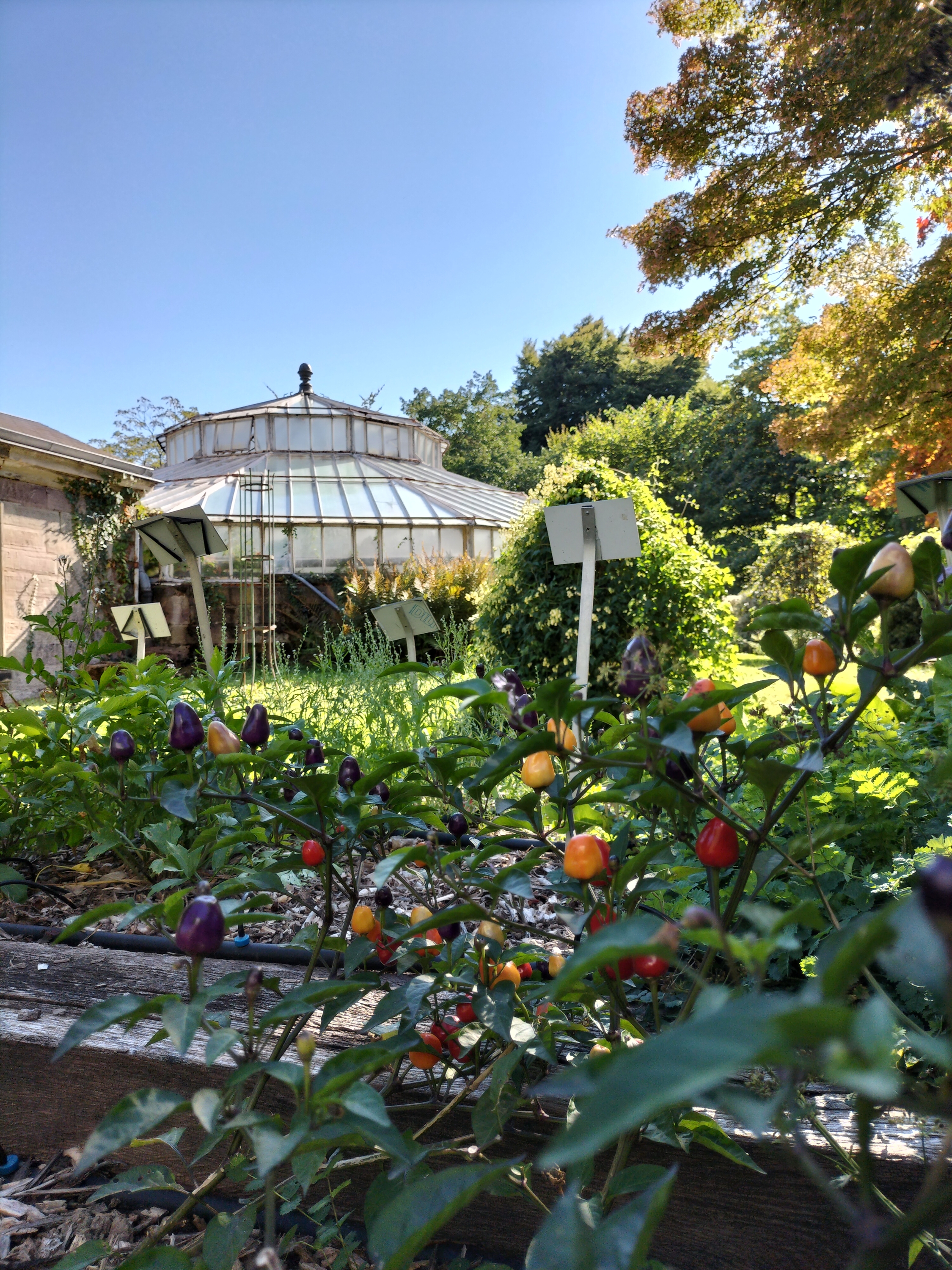 Jardin botanique de Strasbourg