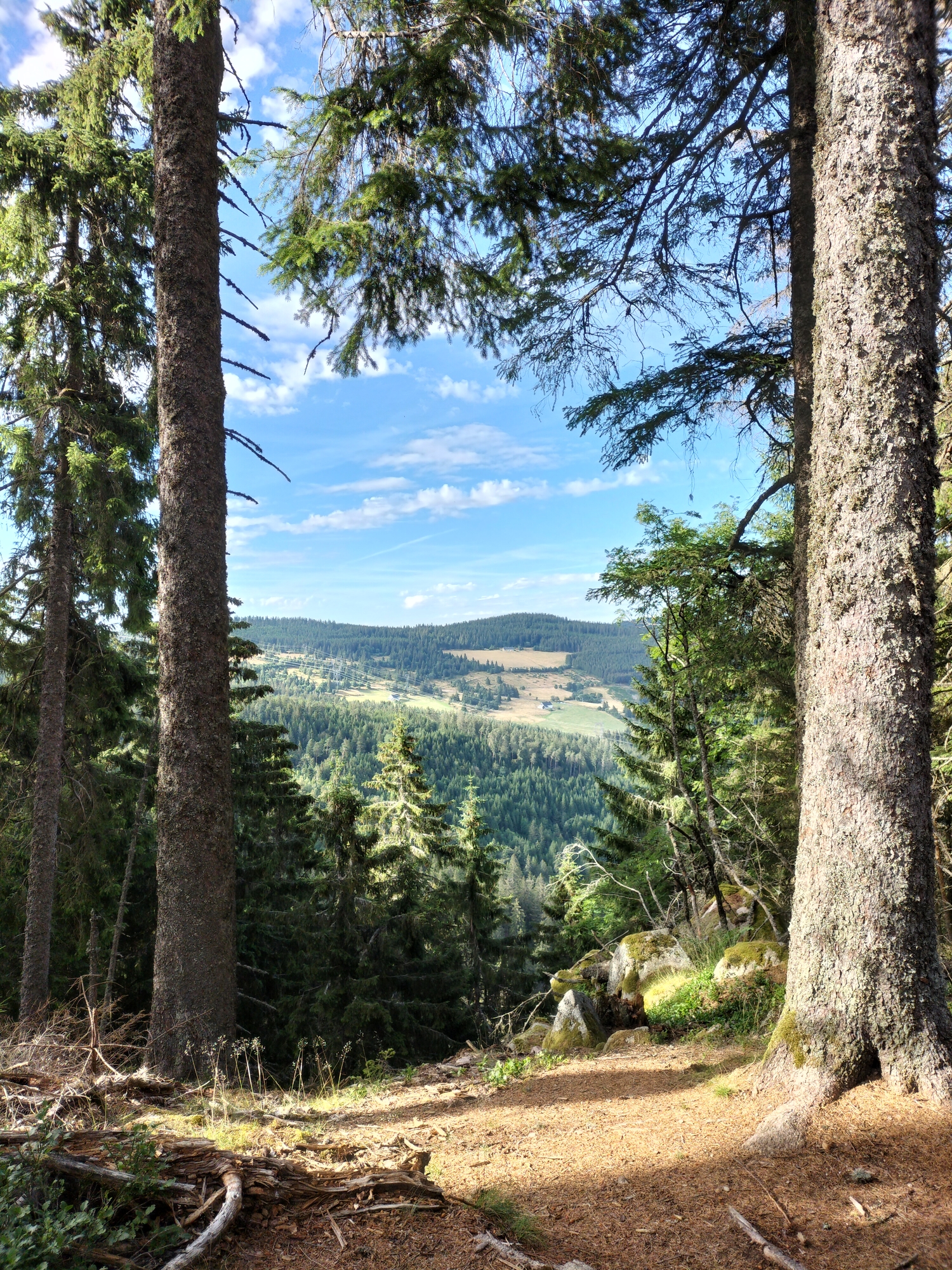 Lac noir, Vosges