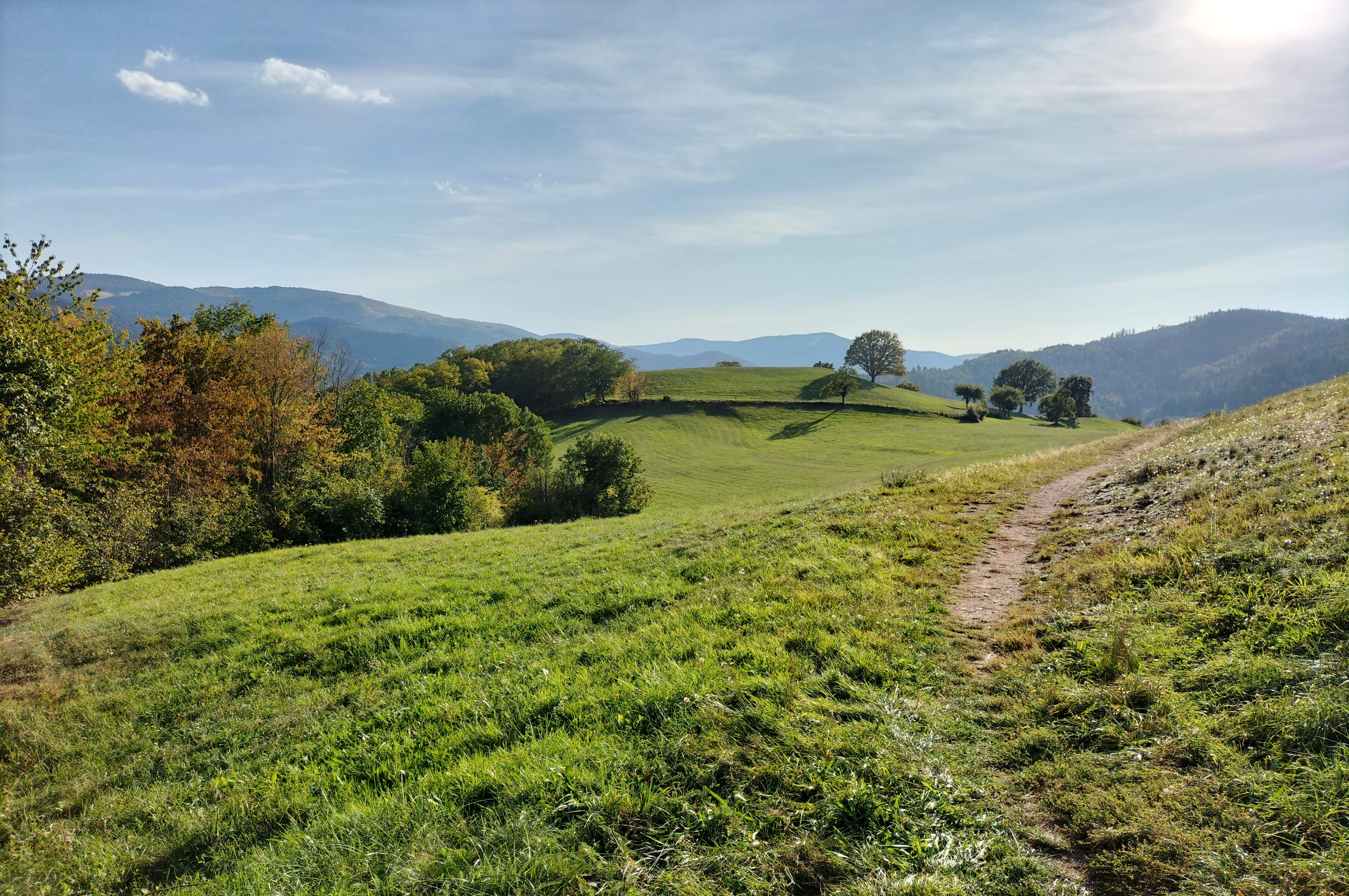 Narrenstein, near Munster
