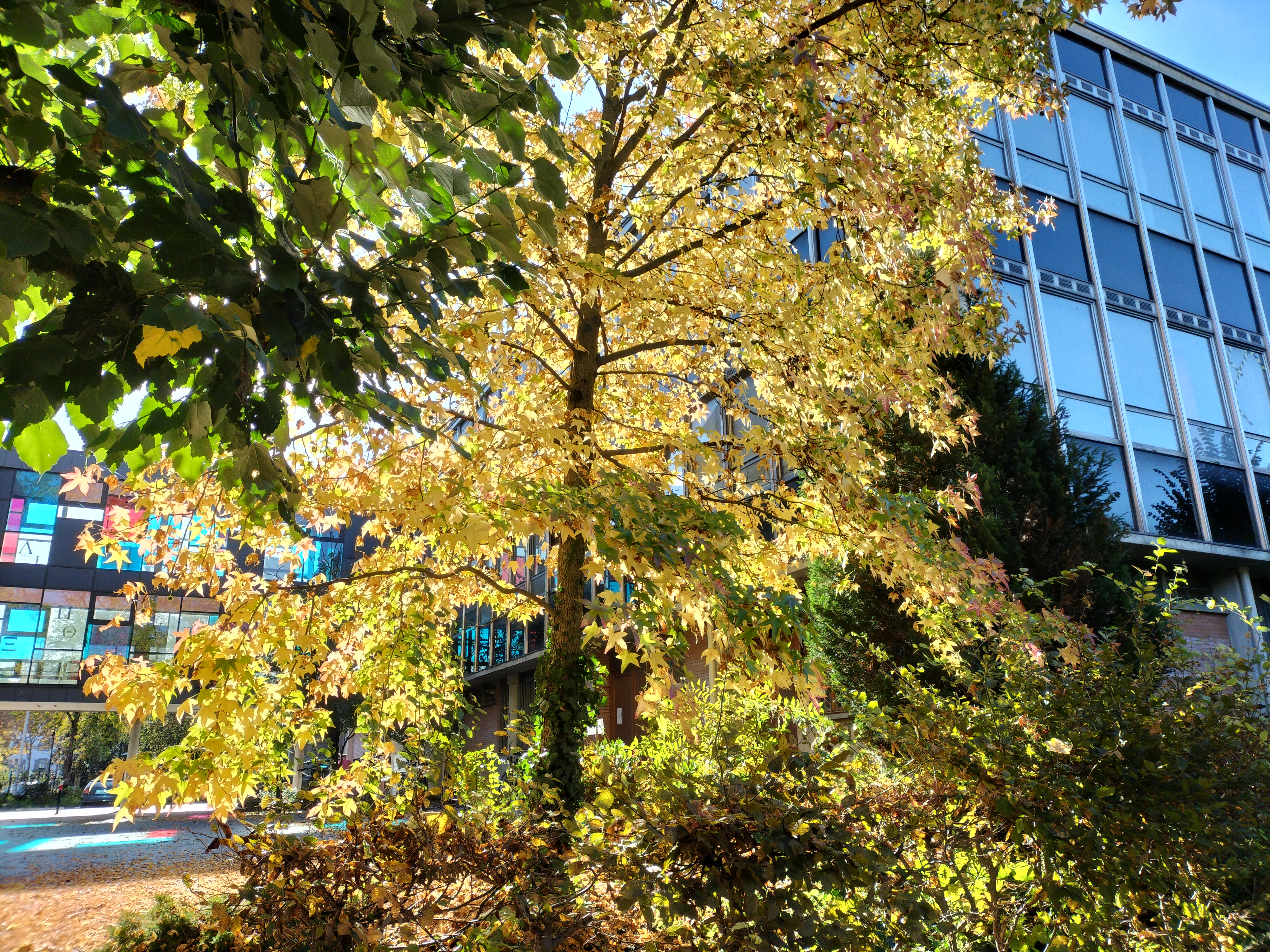 Université de Strasbourg
