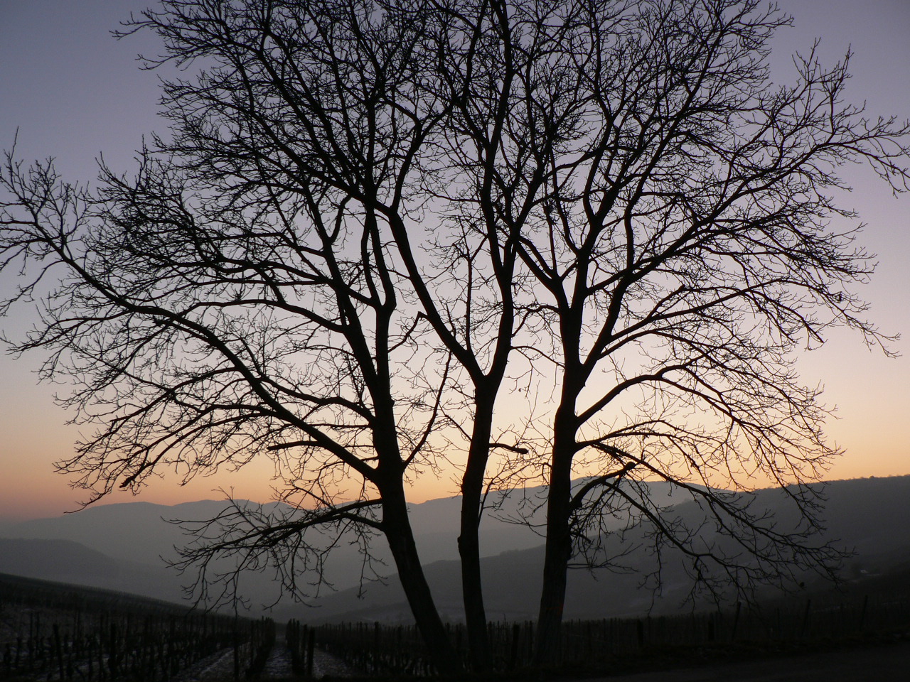 Table des Druides