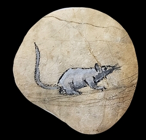 paintedstones